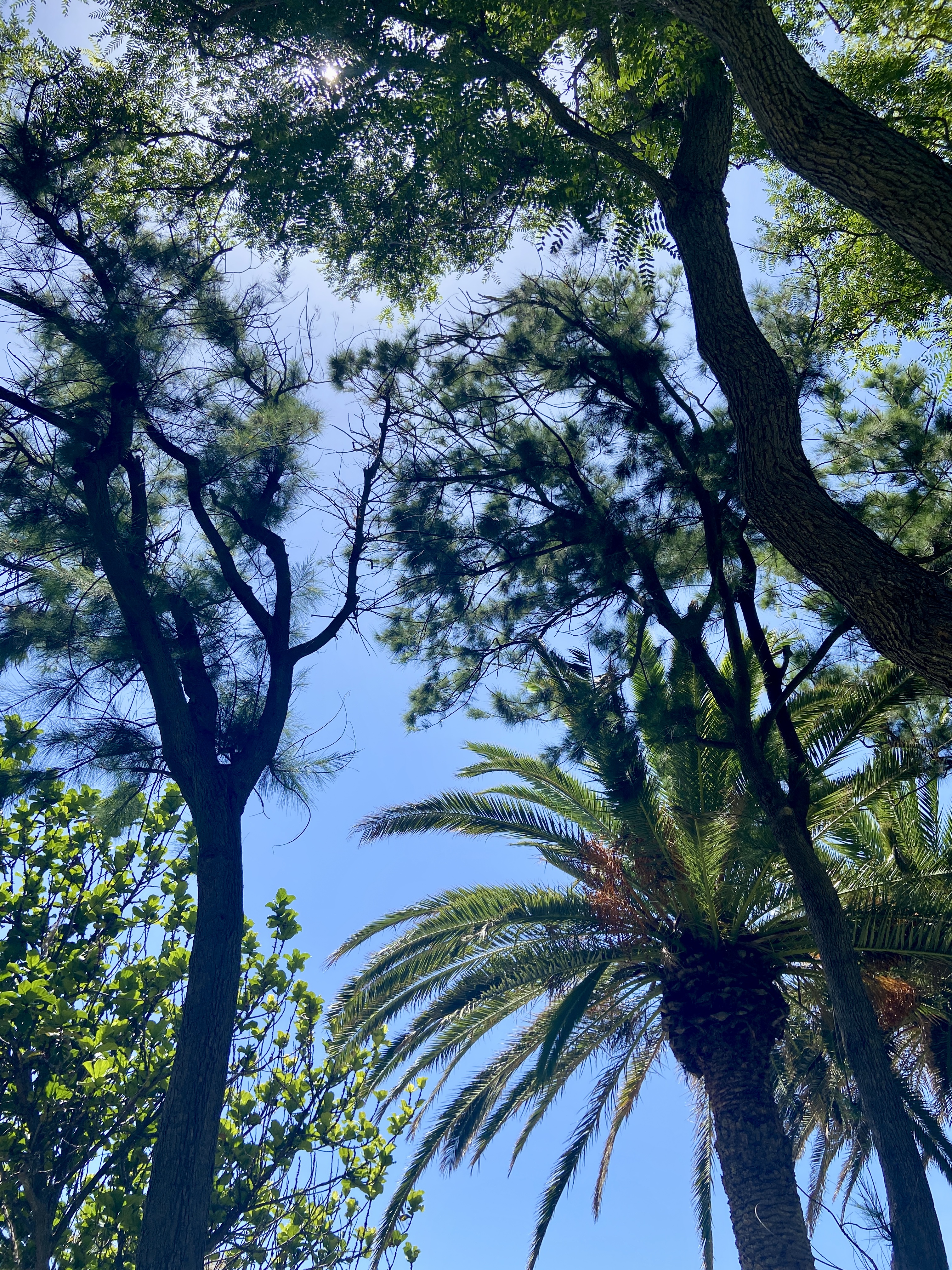 regardant de beaux objets